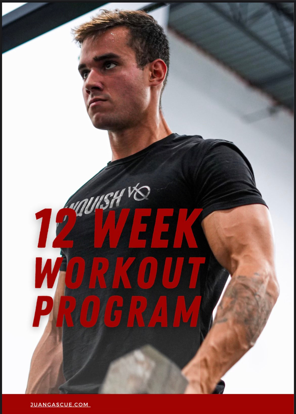 12 Week Workout Program Elite Coaching